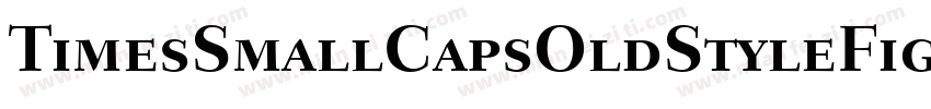 TimesSmallCapsOldStyleFigures Bold字体转换